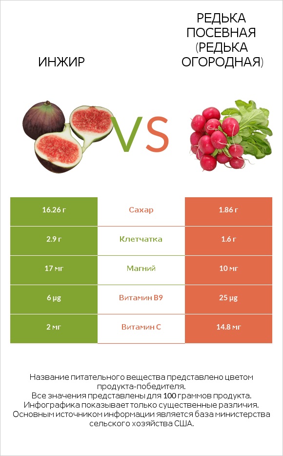 Инжир vs Редька посевная (Редька огородная) infographic