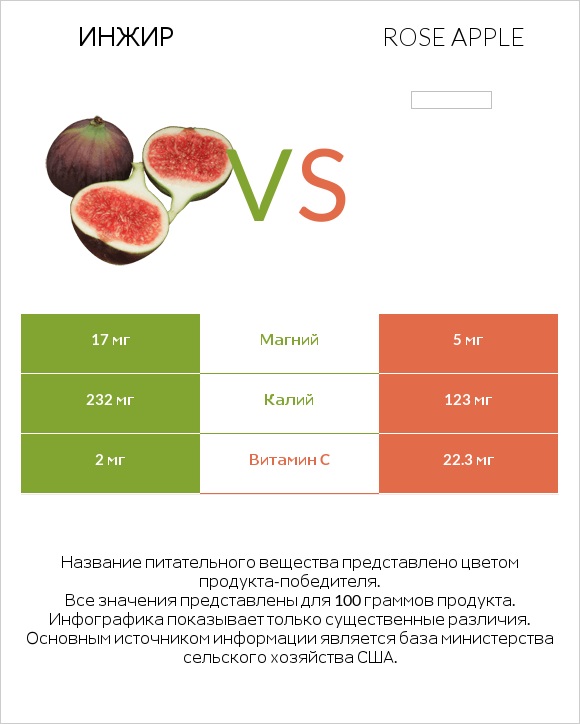 Инжир vs Rose apple infographic