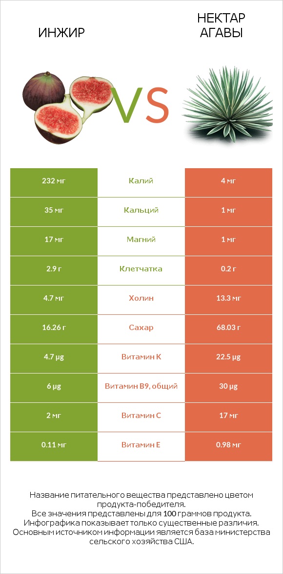 Инжир vs Нектар агавы infographic