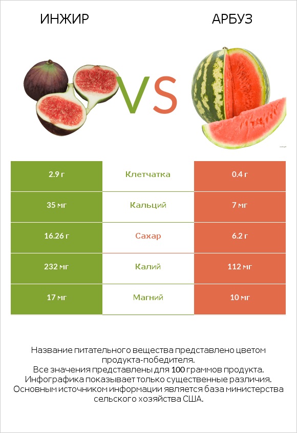 Инжир vs Арбуз infographic