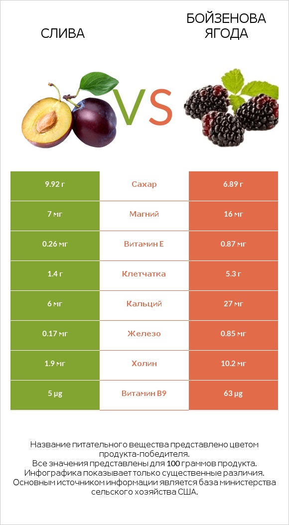 Слива vs Бойзенова ягода infographic