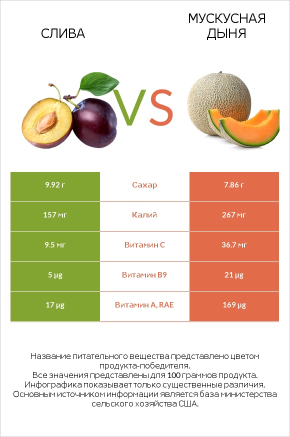 Слива vs Мускусная дыня infographic