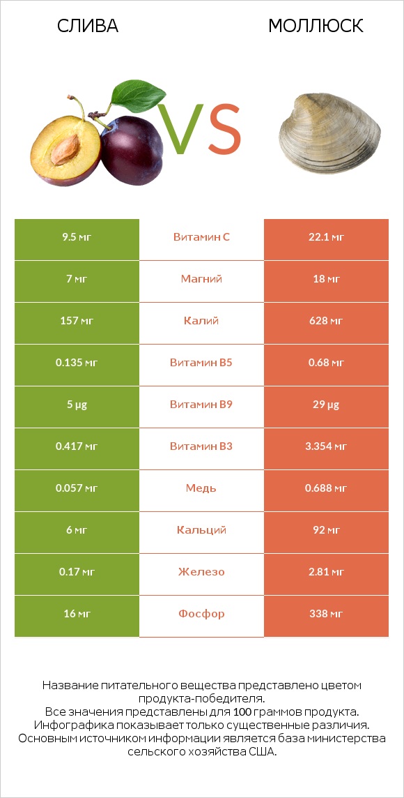 Слива vs Моллюск infographic