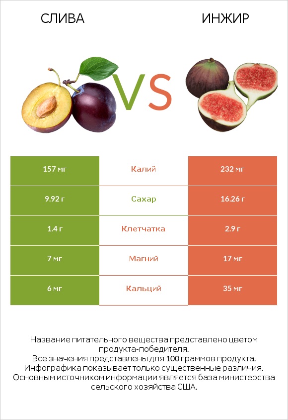 Общие сливы vs Инжир infographic