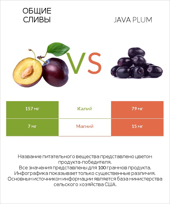 Общие сливы vs Java plum infographic
