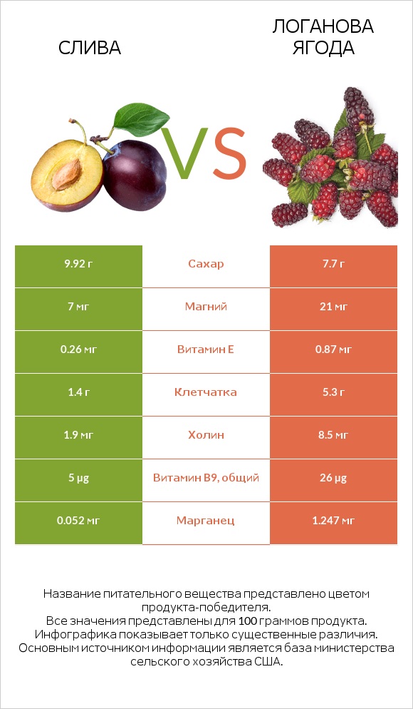 Слива vs Логанова ягода infographic