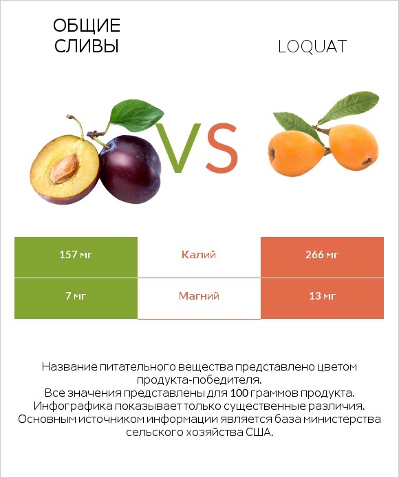 Общие сливы vs Loquat infographic