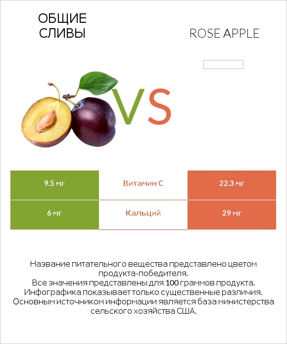 Общие сливы vs Rose apple infographic