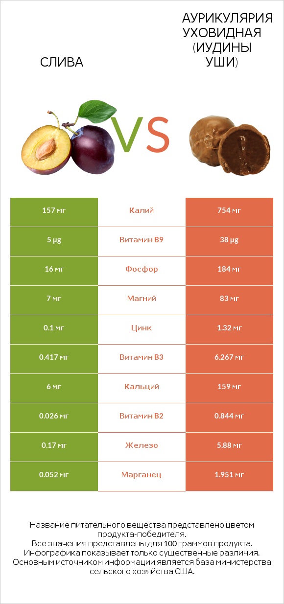 Слива vs Аурикулярия уховидная (Иудины уши) infographic