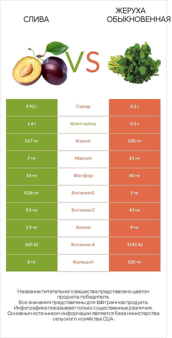 Слива vs Жеруха обыкновенная infographic