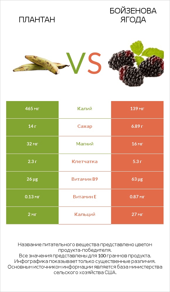 Плантан vs Бойзенова ягода infographic