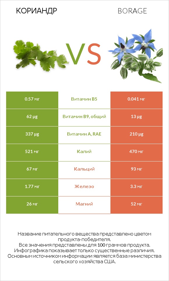 Кориандр vs Бурачник лекарственный infographic