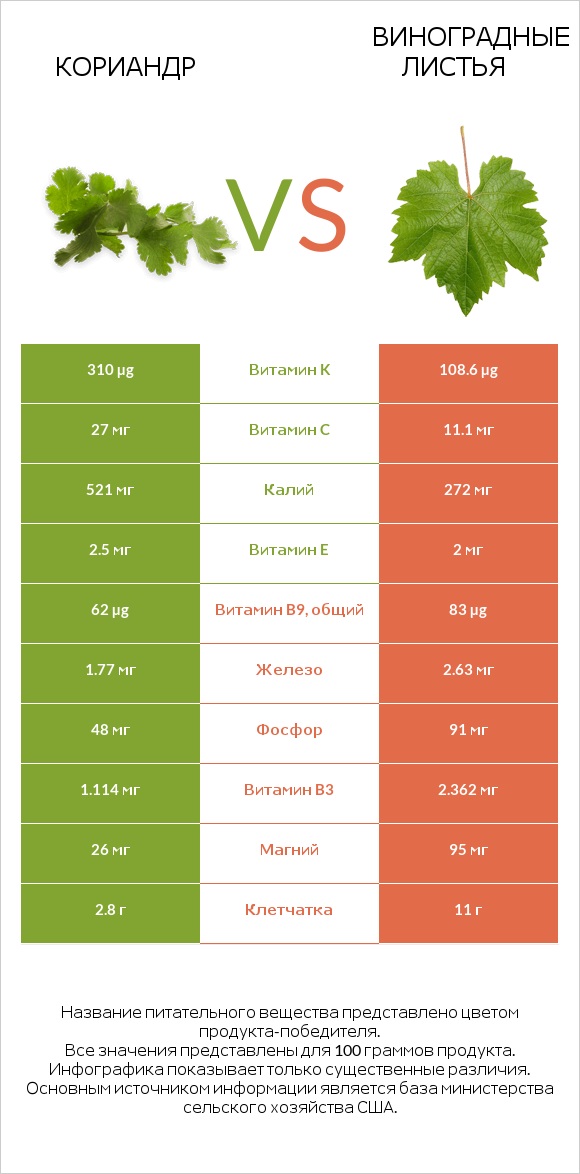 Кориандр vs Виноградные листья infographic