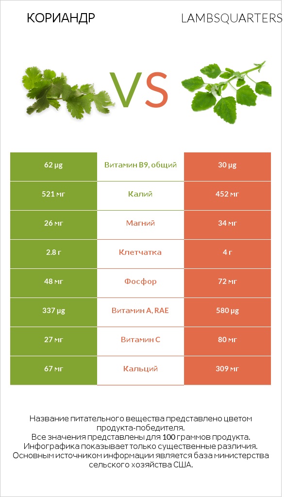 Кориандр vs Марь белая (Марь обыкновенная) или Листья мари белой infographic