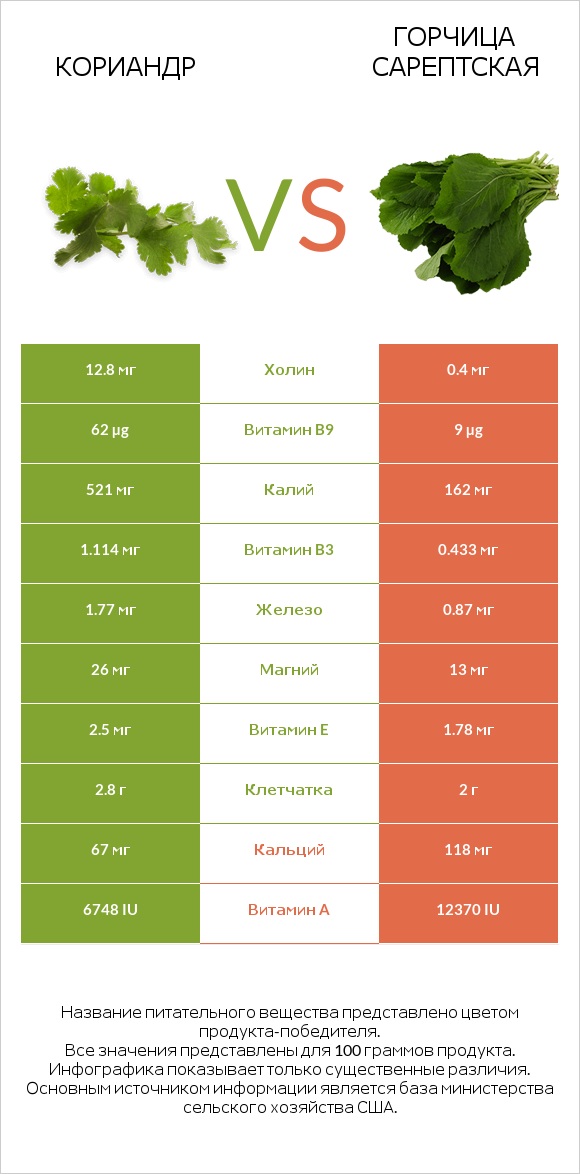 Кориандр vs Горчица сарептская infographic