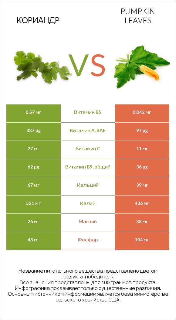 Кориандр vs Листья тыквы infographic