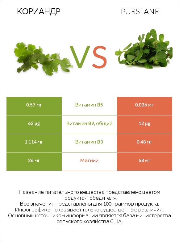 Кориандр vs Портулак огородный infographic