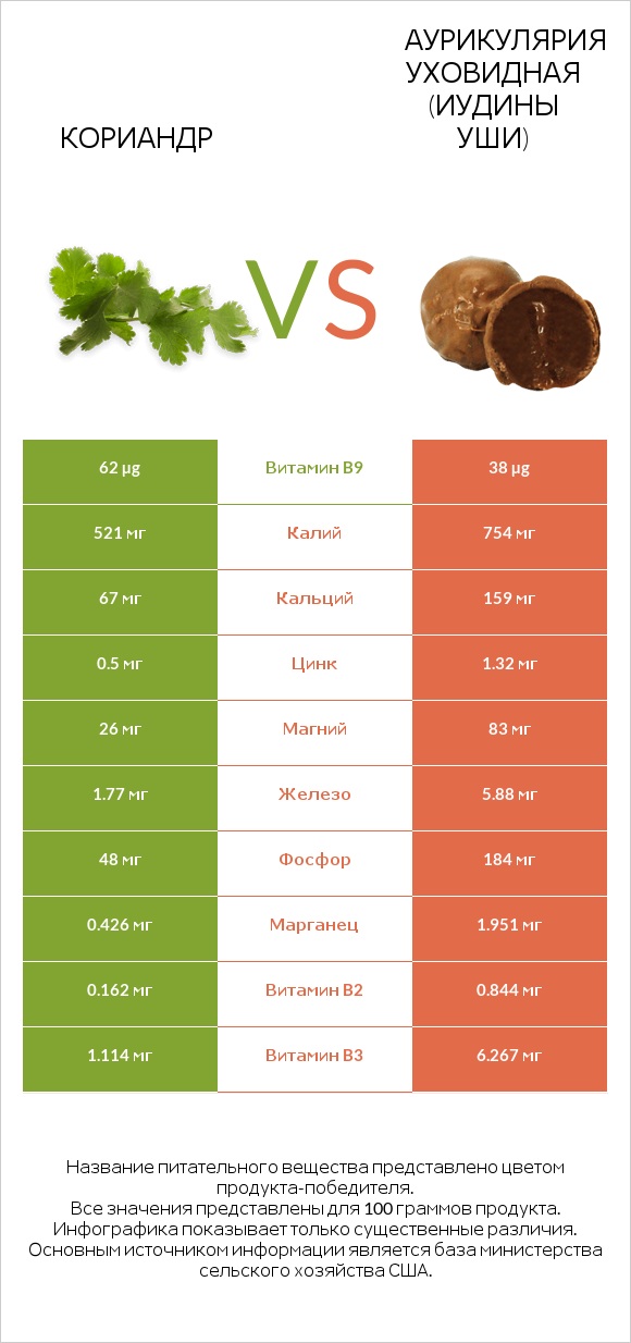 Кориандр vs Аурикулярия уховидная (Иудины уши) infographic