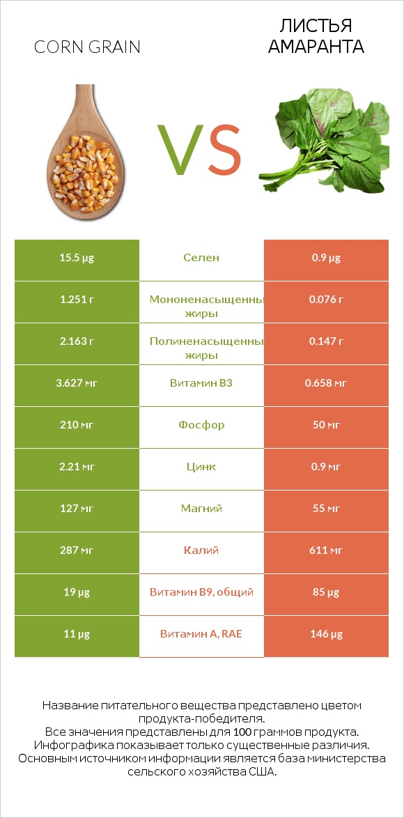 Corn grain vs Листья амаранта infographic