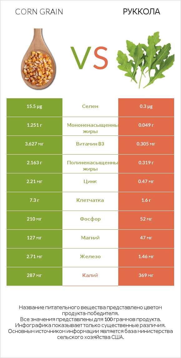 Corn grain vs Руккола infographic