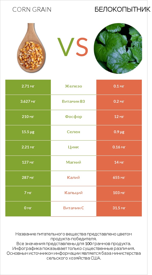 Corn grain vs Белокопытник infographic