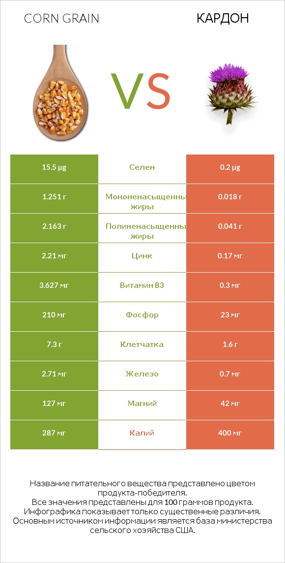 Corn grain vs Кардон infographic