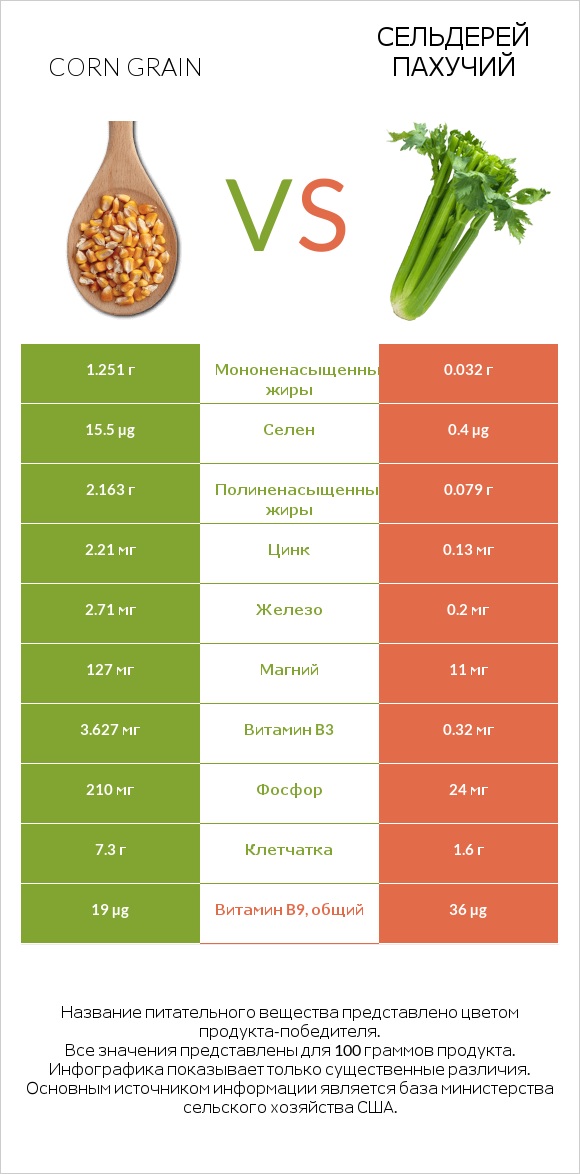 Corn grain vs Сельдерей пахучий infographic
