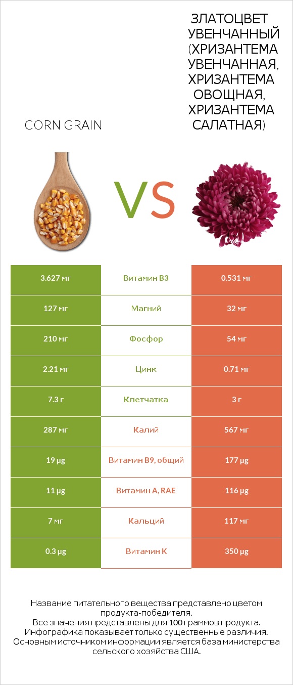 Corn grain vs Златоцвет увенчанный (хризантема увенчанная, хризантема овощная, хризантема салатная) infographic