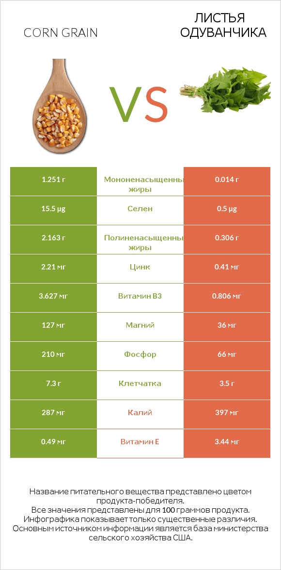 Corn grain vs Листья одуванчика infographic