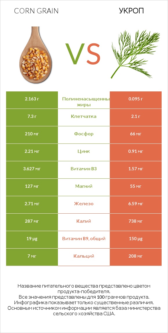 Corn grain vs Укроп infographic