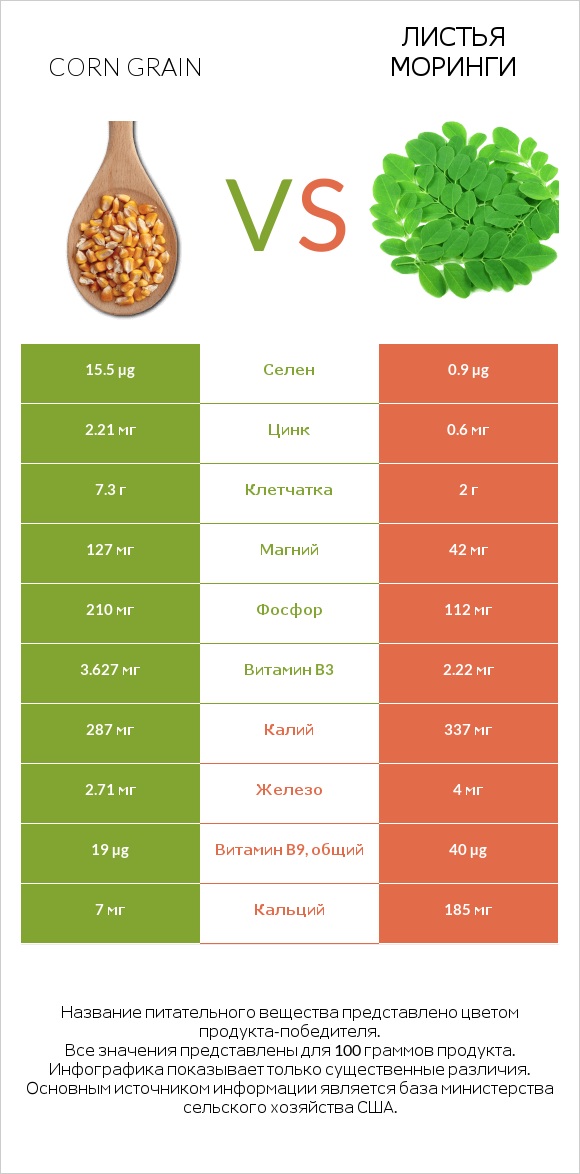 Corn grain vs Листья моринги infographic