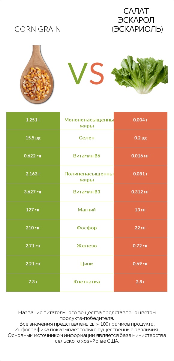 Corn grain vs Салат Эскарол (эскариоль) infographic