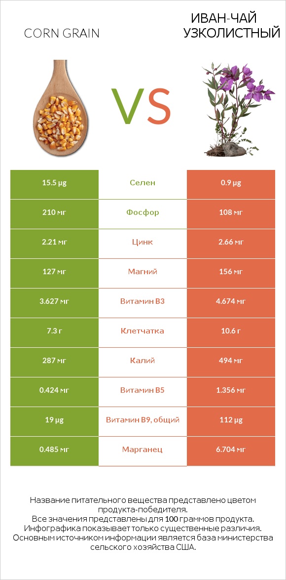 Corn grain vs Иван-чай узколистный infographic