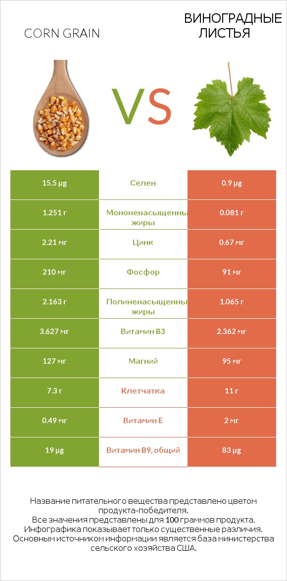 Corn grain vs Виноградные листья infographic