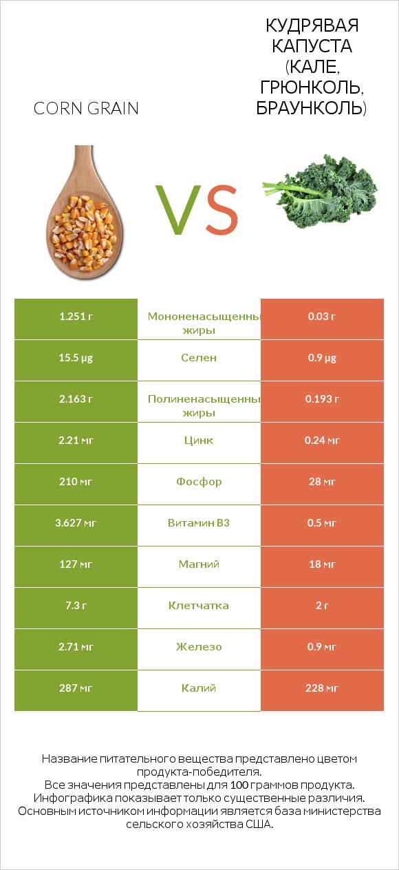 Corn grain vs Кудрявая капуста (кале, грюнколь, браунколь) infographic