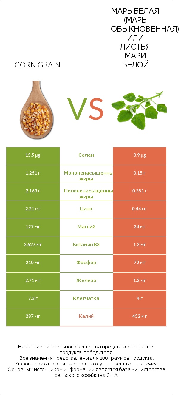 Corn grain vs Марь белая (Марь обыкновенная) или Листья мари белой infographic