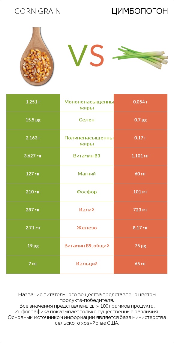 Corn grain vs Цимбопогон infographic