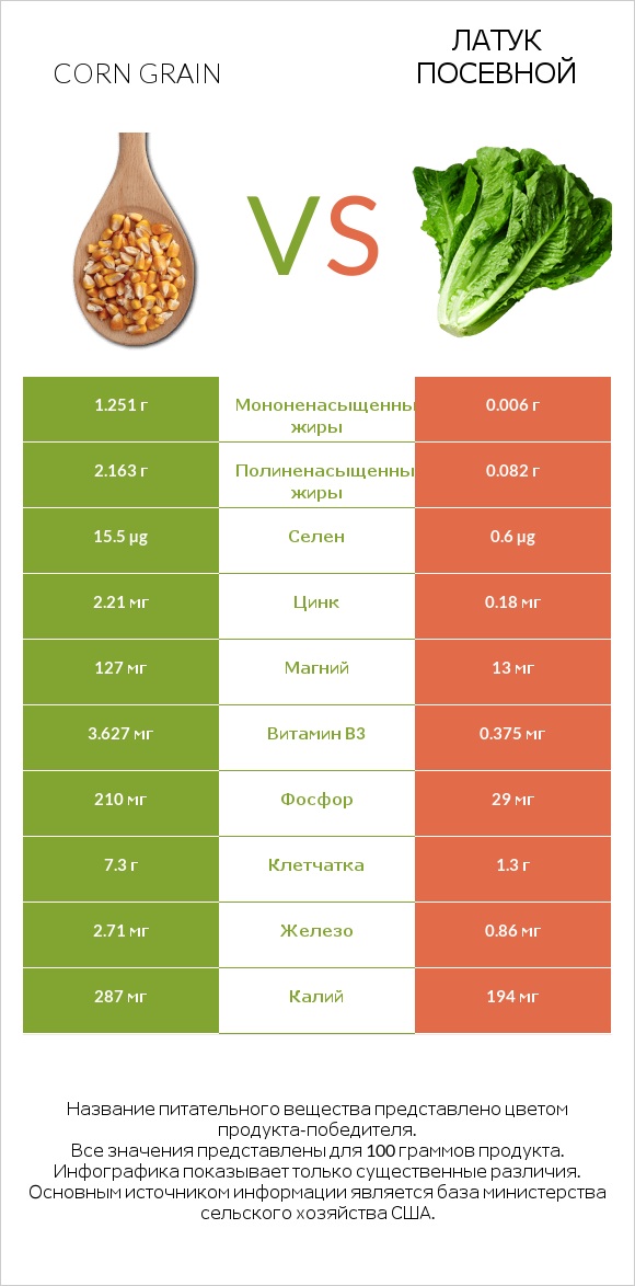 Corn grain vs Латук посевной infographic