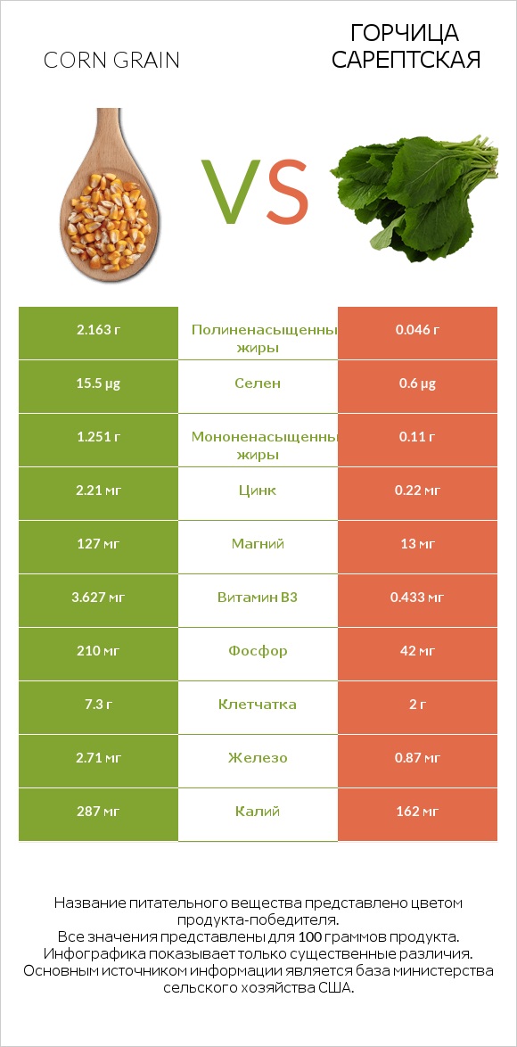 Corn grain vs Горчица сарептская infographic