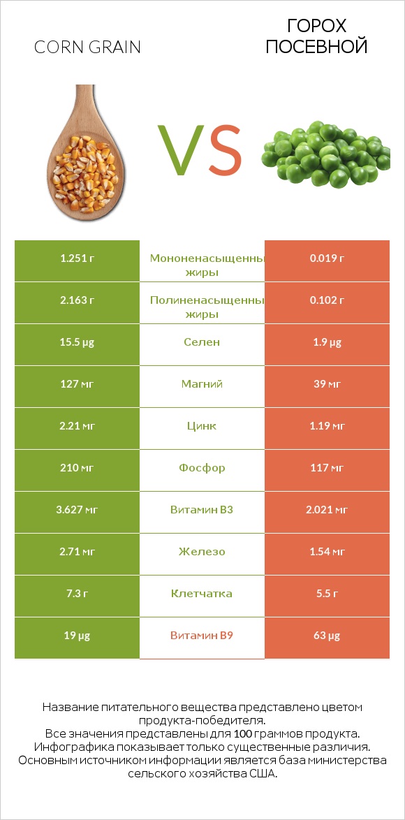 Corn grain vs Горох посевной infographic