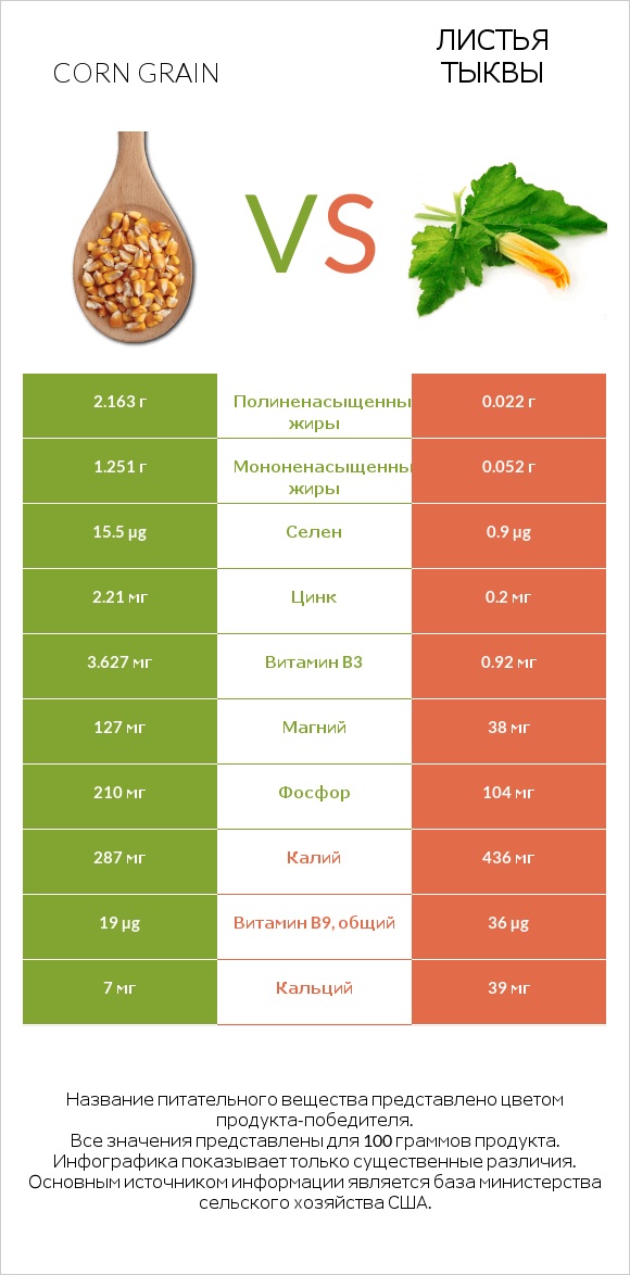 Corn grain vs Листья тыквы infographic