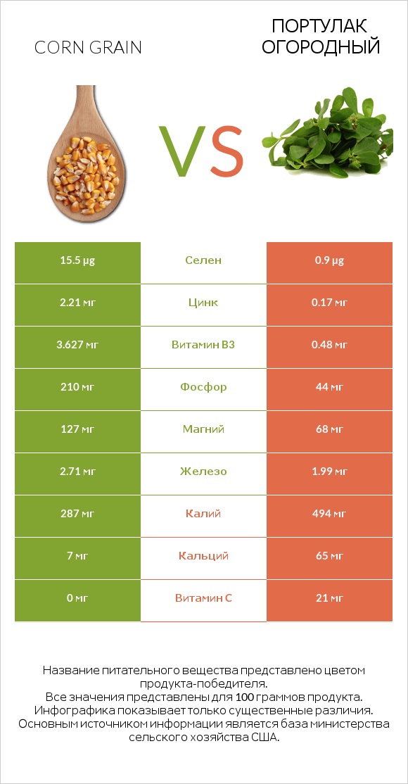 Corn grain vs Портулак огородный infographic