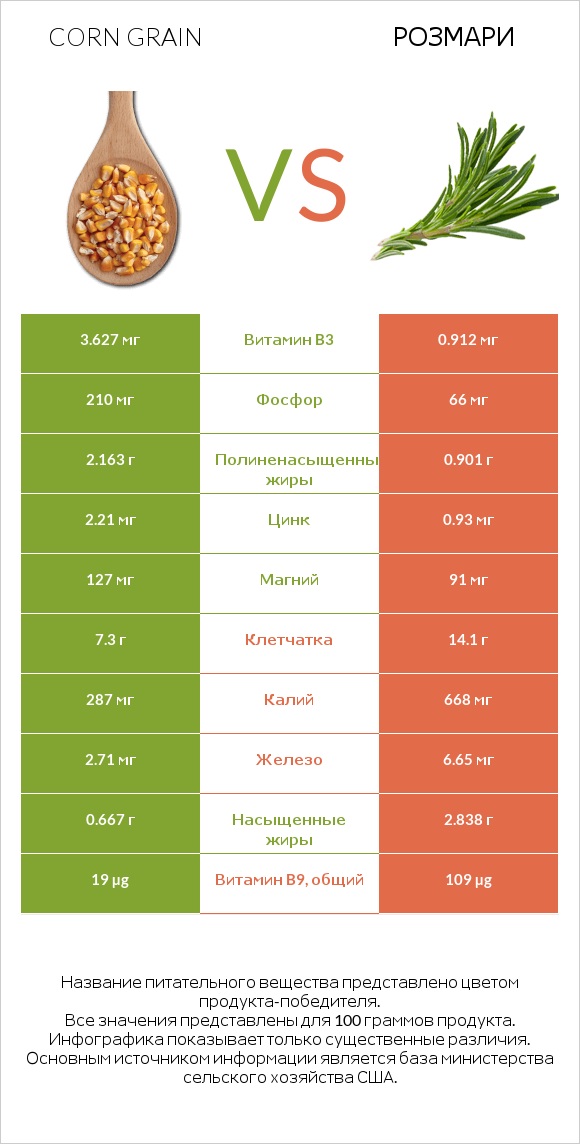 Corn grain vs Розмари infographic