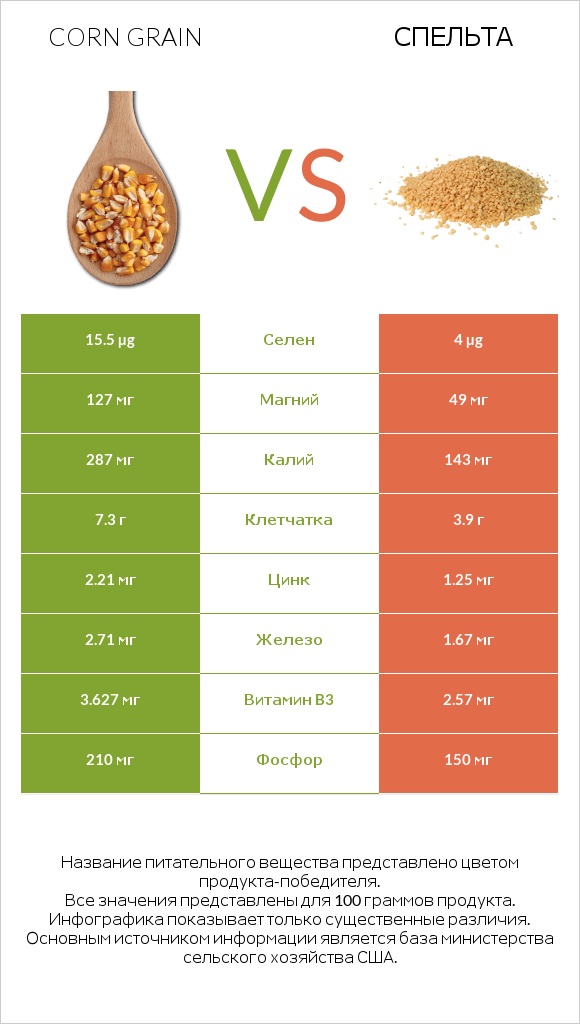 Corn grain vs Спельта infographic