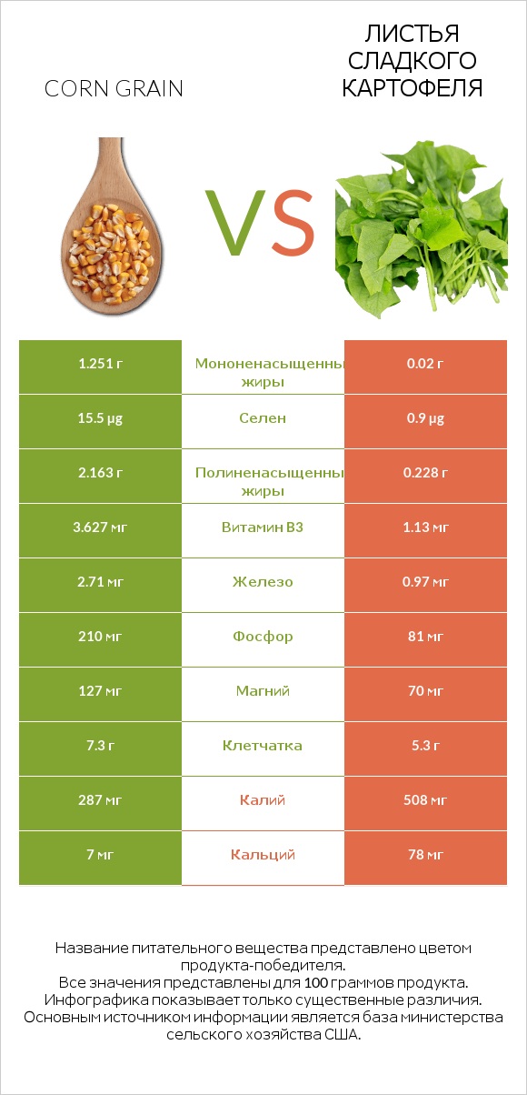 Corn grain vs Листья сладкого картофеля infographic