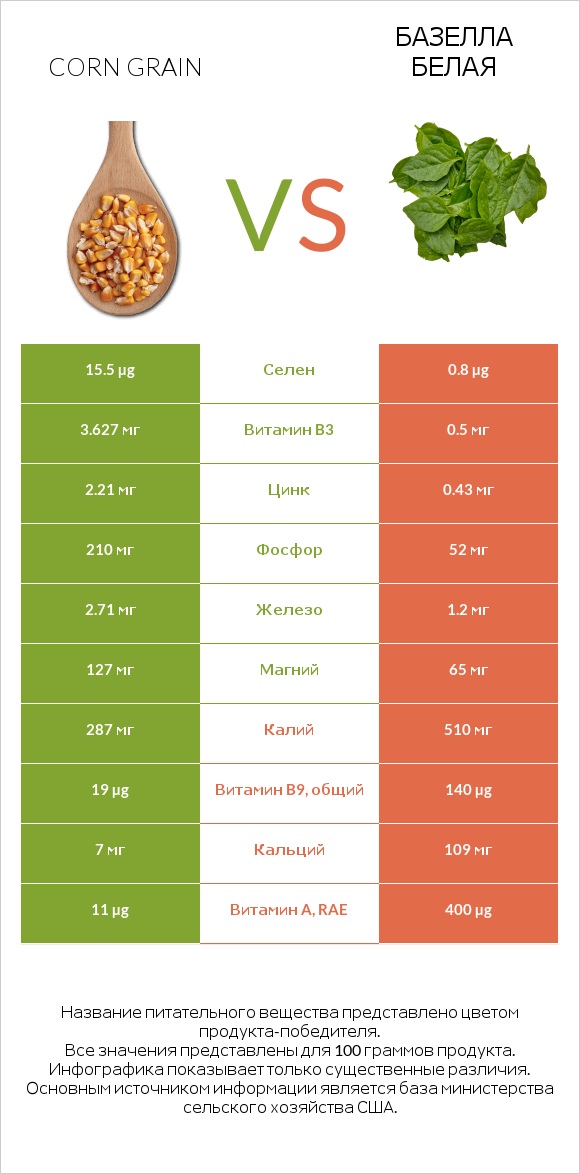 Corn grain vs Базелла белая infographic