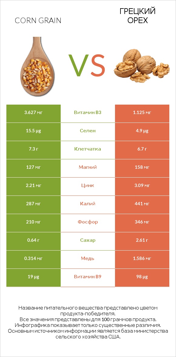 Corn grain vs Грецкий орех infographic