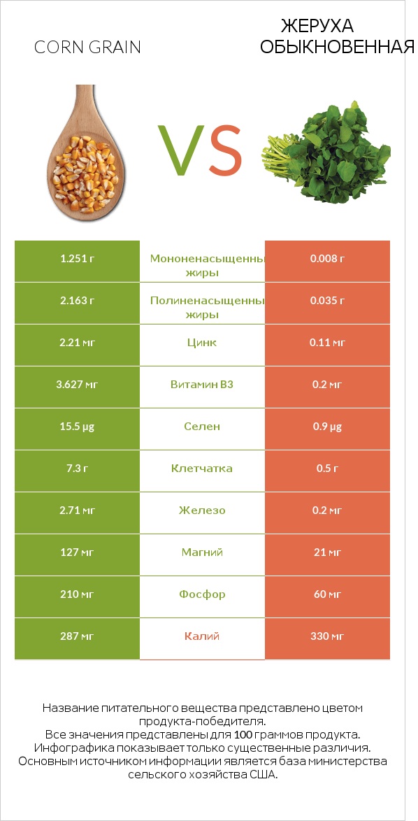 Corn grain vs Жеруха обыкновенная infographic