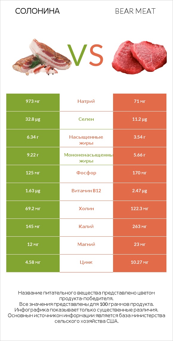 Солонина vs Bear meat infographic