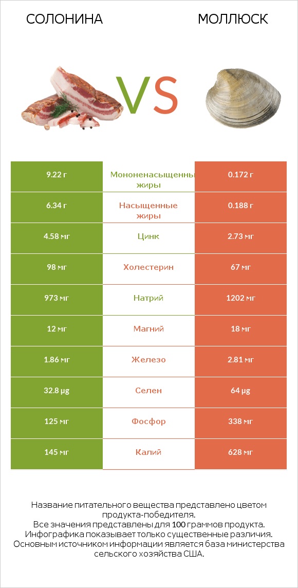 Солонина vs Моллюск infographic